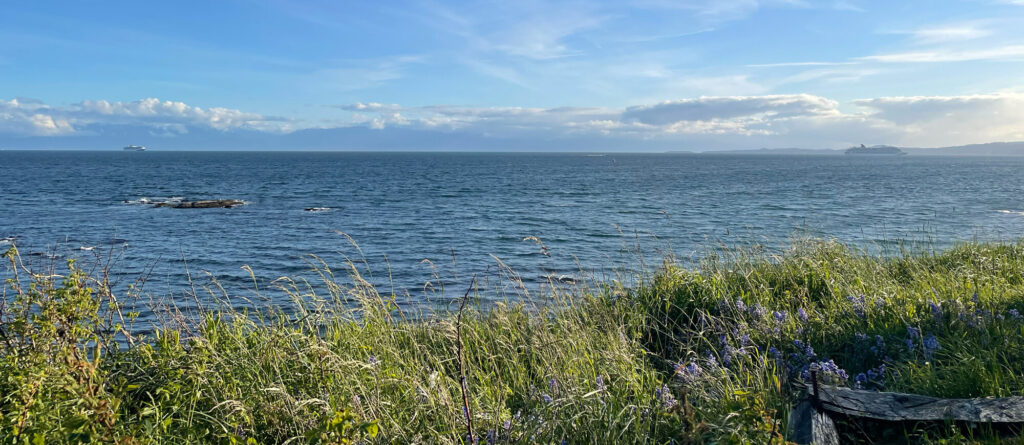 Photo: windswept vista overlooking sea